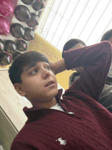a boy wearing a maroon sweater with a white horse logo
