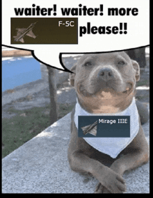 a dog wearing a bandana with a picture of a mirage iiie