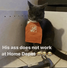 a cat wearing an apron from the home depot