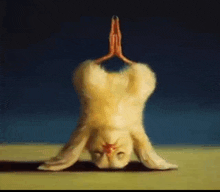 a painting of a rabbit doing a yoga pose on its head