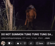 a screenshot of a facebook page that says do not summon tung tung sa