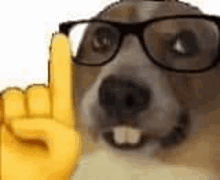 a dog wearing glasses and a yellow smiley face is making a peace sign .