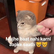 a cat is being petted by a person with a caption that says mujh baat nahi karni aapke saath