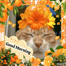 a picture of a cat with a flower on its head and the words good morning on the bottom