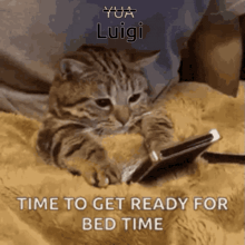 a cat laying on a bed looking at a cell phone with a caption that says time to get ready for bed time