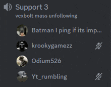 a screenshot of a discord channel shows support 3