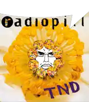 a drawing of a flower with a man 's face and the words radiopi tnd on it