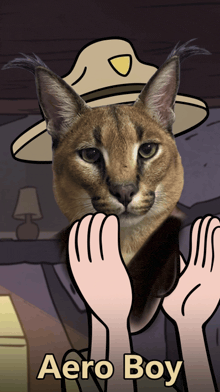 a cartoon of a cat wearing a hat with aero boy written on the bottom