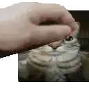 a person is petting a cat 's face in a pixel art .
