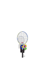 a drawing of a person holding a tennis racquet with pwn written on the top
