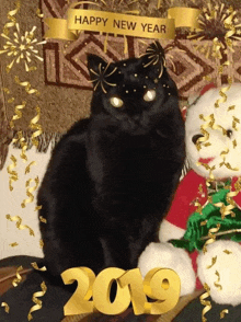 a black cat sitting next to a teddy bear with a happy new year sign