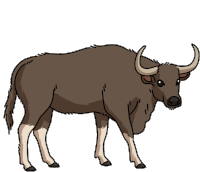 a cartoon drawing of a bull with long horns on a white background
