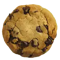 a close up of a chocolate chip cookie with a white background