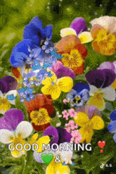 a bunch of colorful flowers with butterflies and the words good morning and