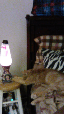 a cat is laying on a bed next to a lamp