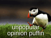 a picture of a puffin with the words " unpopular opinion puffin " below it