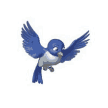 a blue and white bird is flying in the air with its wings spread .