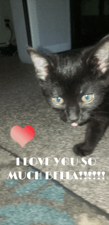 a black cat with a red heart and the words " i love you so much bella " on the bottom