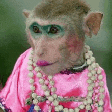 a monkey wearing a pink dress and a necklace is looking at the camera .