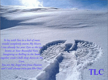 a picture of a bed of snow with a poem by tlc on the bottom