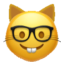 a cat emoji wearing glasses and a smile on its face .