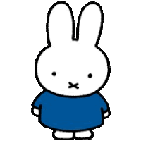 a white rabbit with a blue shirt on