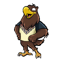 a cartoon of an eagle wearing a shirt with a geometric pattern