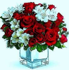 a vase filled with red and white flowers on a white background .