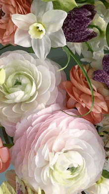 a bunch of pink and white flowers with purple ones in the background