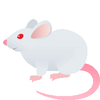 a white mouse with a pink tail and red eyes