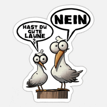 two seagulls are standing next to each other with speech bubbles saying nein