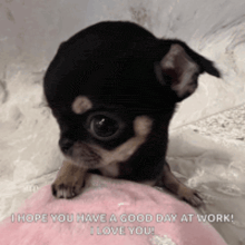 a chihuahua puppy is sitting on a pink pillow with the words i hope you have a good day at work