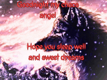 a picture of a wolf with the words " goodnight my chaos angel hope you sleep well and sweet dreams "