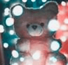 a teddy bear wearing a santa hat is sitting in front of christmas lights .