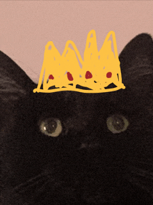 a black cat with a yellow crown on top of its head