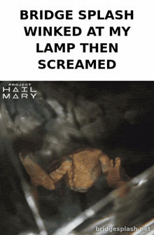 bridge splash winked at my lamp then screamed project hail mary poster