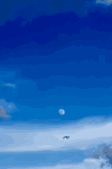 a bird flying in the blue sky with a full moon in the background