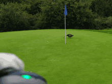 a green golf course with a flag and a bird