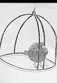 a black and white drawing of a bird sitting in a birdcage .