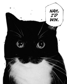 a black and white cat with the words nah i 'd win behind it