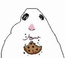 a white hamster is eating a cookie with a bite taken out of it .