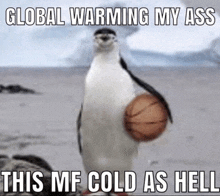 a penguin is holding a basketball in its beak and says global warming my ass this mf cold as hell