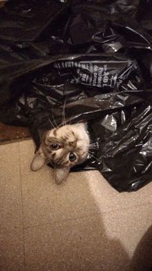 a cat is sticking its head out of a garbage bag that says 24/7