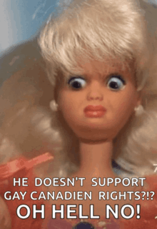 a barbie doll says he doesn 't support gay canadian rights