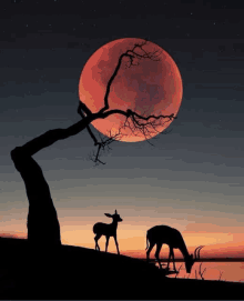 two deer grazing under a tree in front of a red full moon