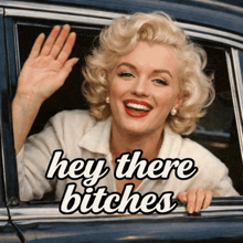 a picture of marilyn monroe with the words hey there bitches on it
