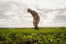 a man in a straw hat and overalls is kneeling in a field