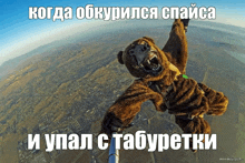 a bear is hanging upside down in the air with a caption in a foreign language