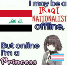 a poster that says ' i may be a iraqi nationalist offline but online i 'm a princess '
