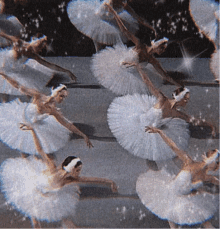 a group of ballerinas are dancing together on a stage .